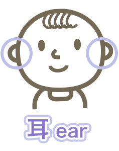 小児　耳の症状